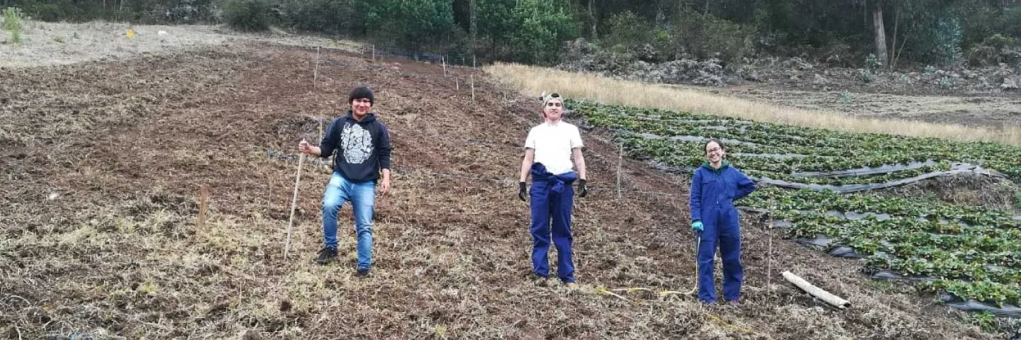Unisalle le apuesta a la biofertilización