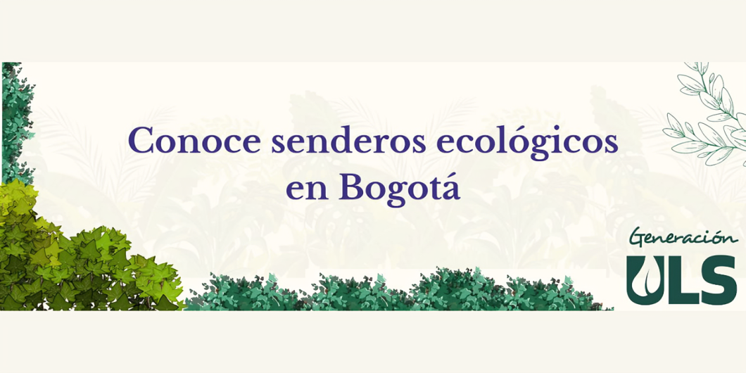 Cómo y dónde realizar caminatas ecológicas en Bogotá