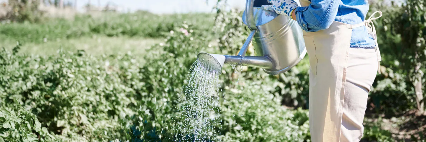 Componente básico para el ahorro de agua en los cultivos