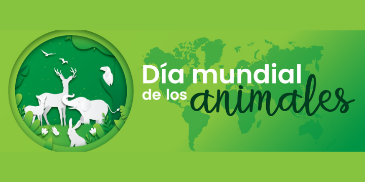 Día mundial de los animales, una oportunidad para demostrarles nuestro respeto