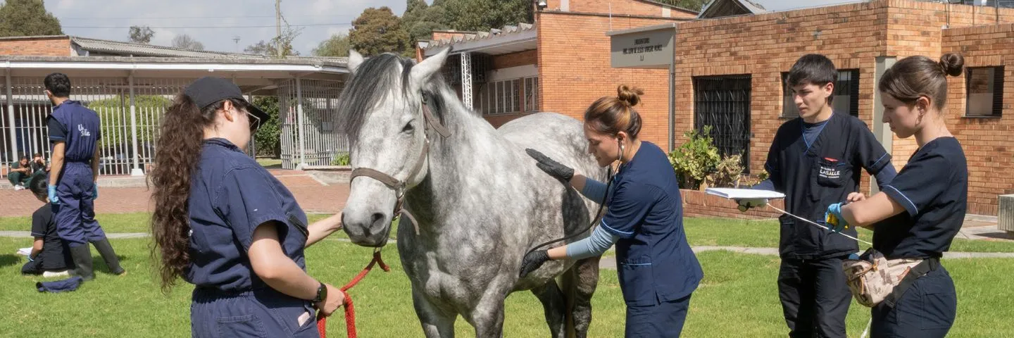 Día del Veterinario: compromiso y pasión profesional