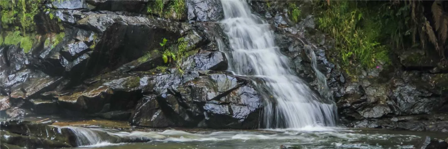 Ecoturismo como eje de transformación territorial