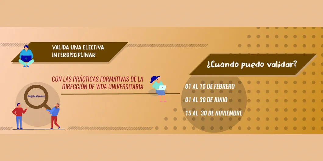 Todo lo que debes saber para validar una electiva interdisciplinar