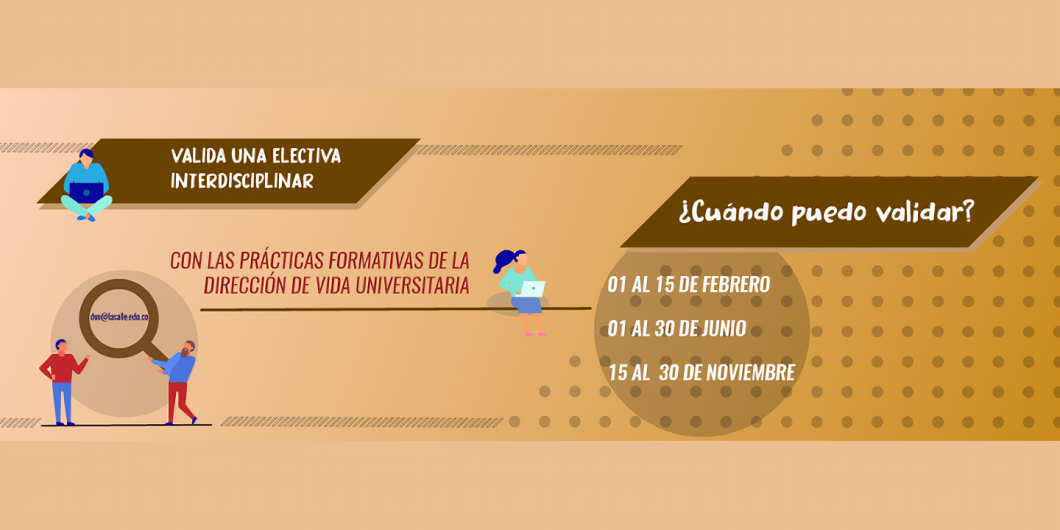 Todo lo que debes saber para validar una electiva interdisciplinar