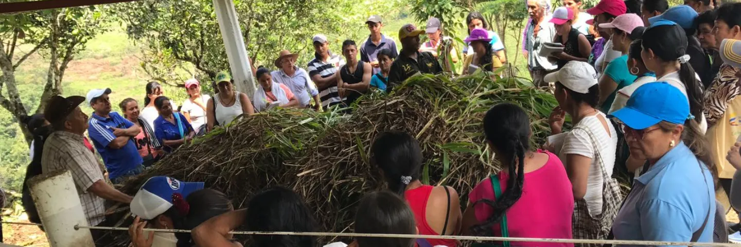 Unisalle es finalista en convocatoria de Minciencias