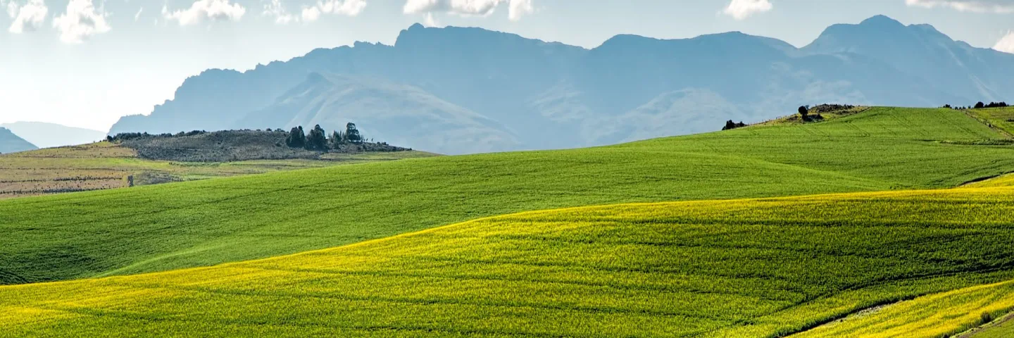 El verdadero problema del glifosato