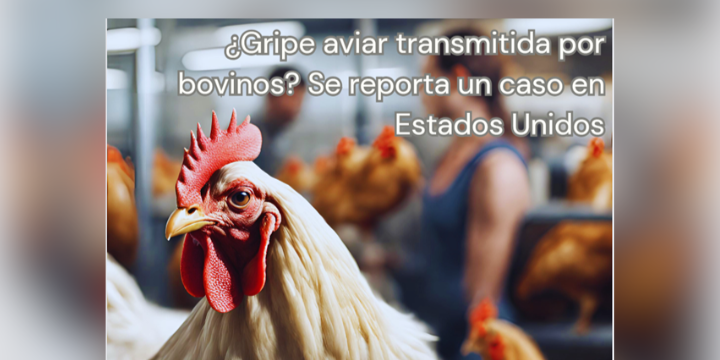 ¿Gripe aviar transmitida por bovinos? Se reporta un caso en Estados Unidos