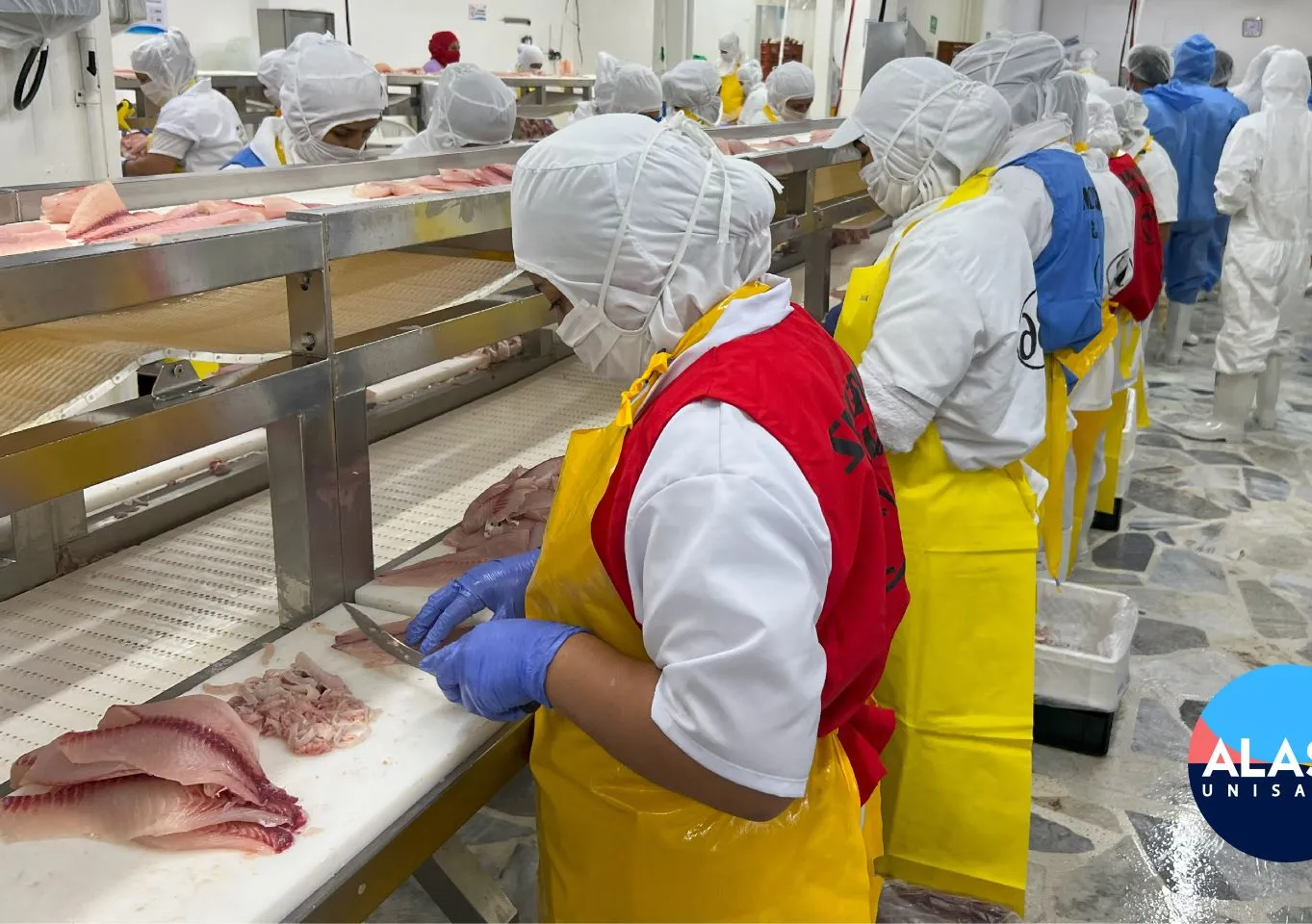 Exportaciones acuícolas y pesqueras de Colombia