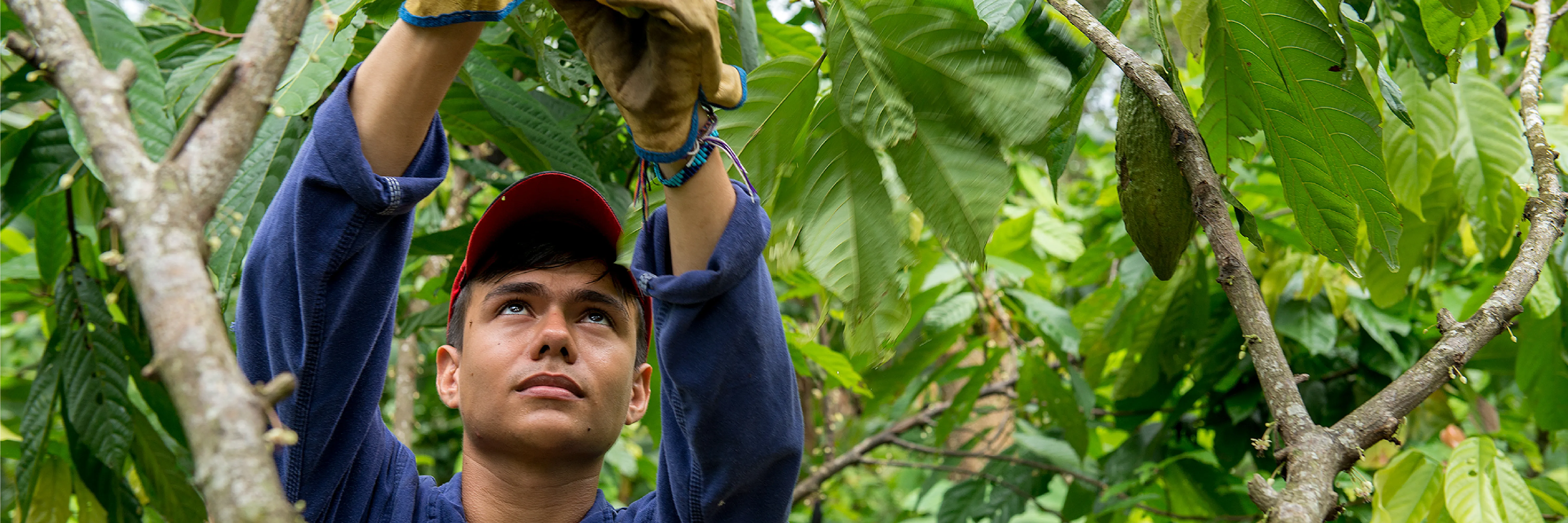 Jóvenes rurales comprometidos con la alimentación en Colombia