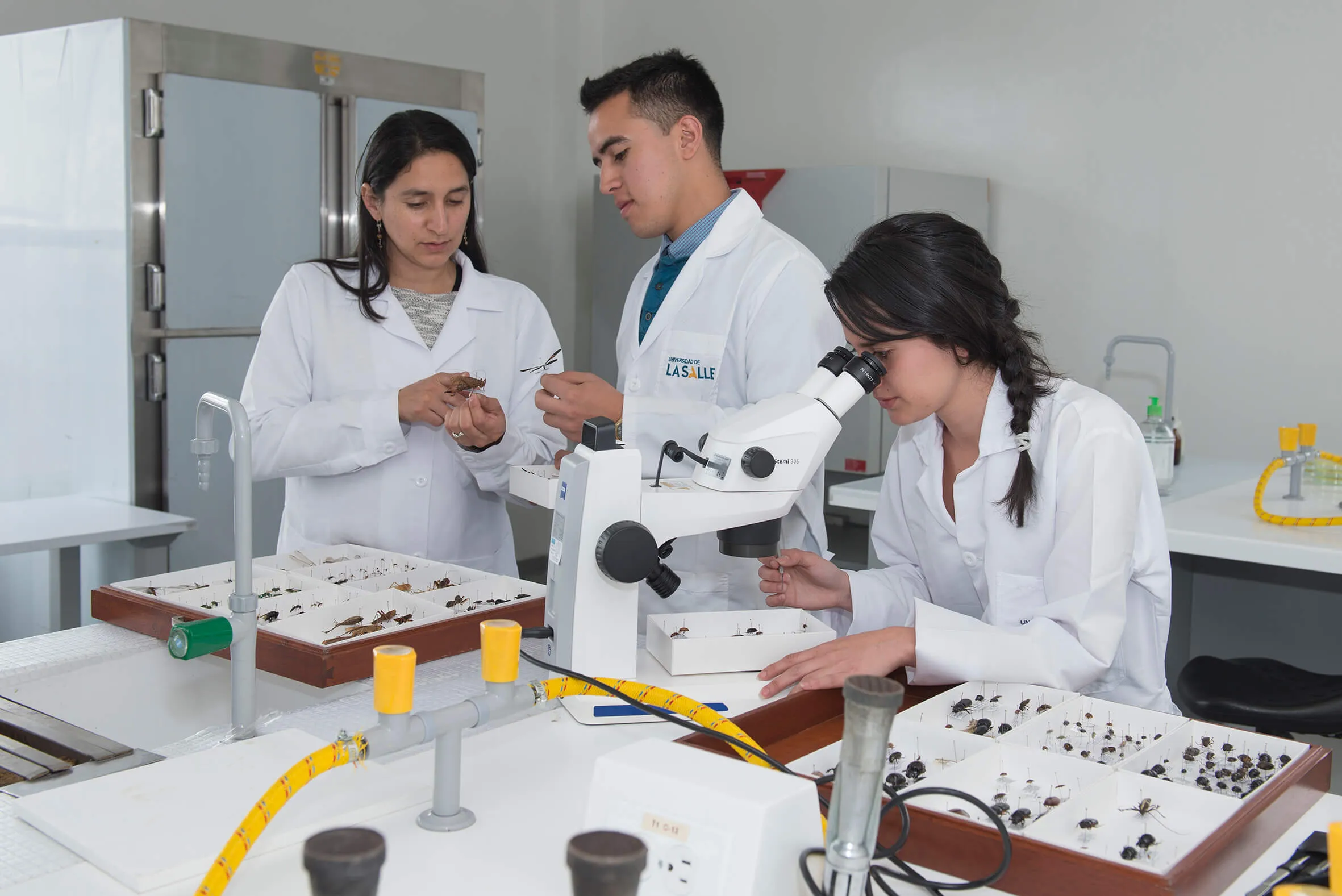 Lasallistas aportan nuevo conocimiento con el fin de mitigar el Covid-19 en el...