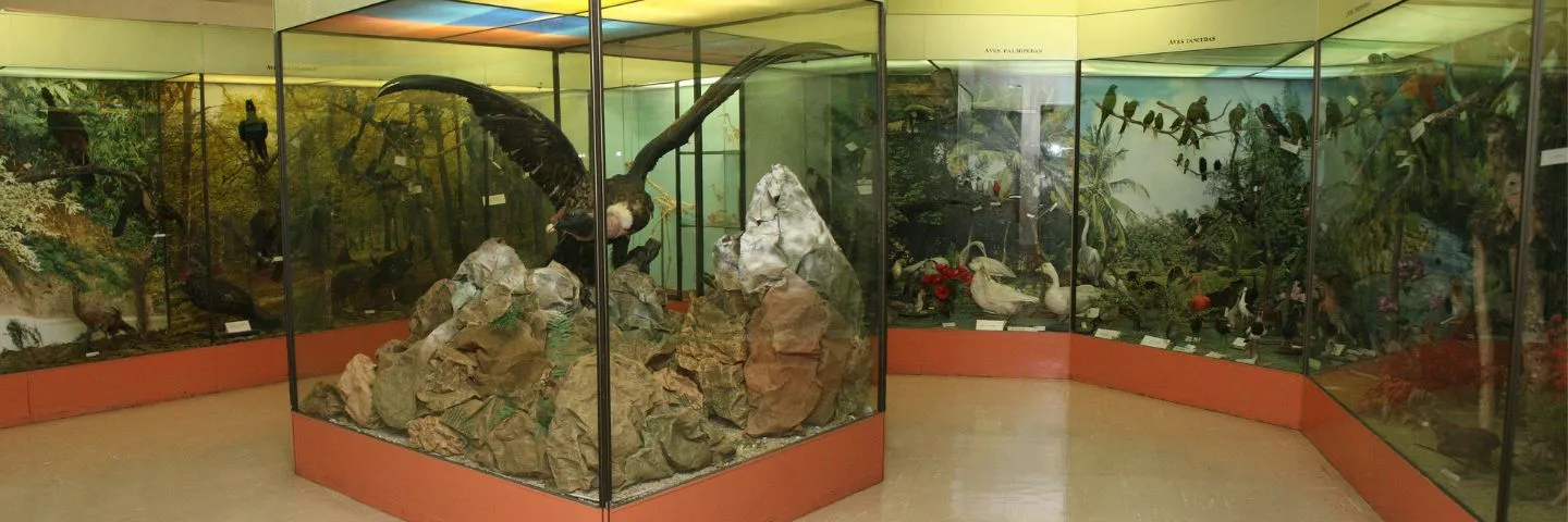 ¡Vive la nueva experiencia interactiva del Museo de La Salle!