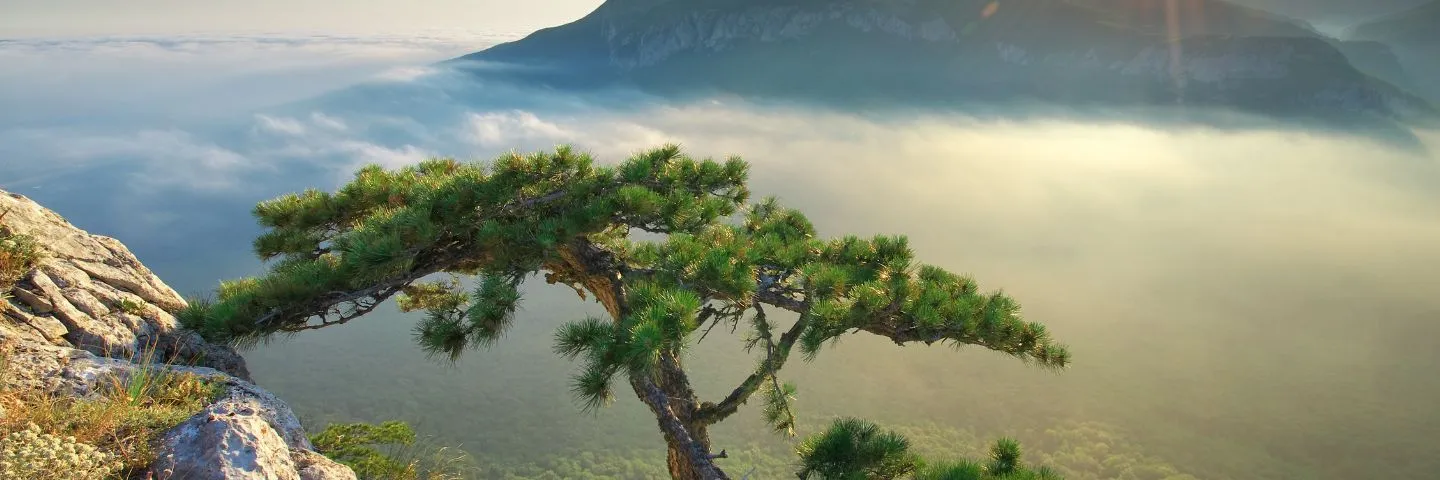 Una Salud: la nueva definición de una alternativa a la policrisis del planeta