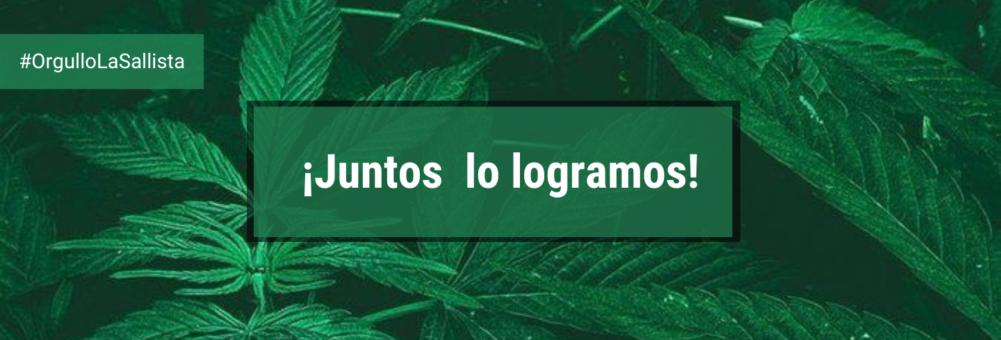 Imagen por defecto