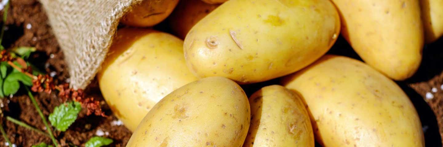 Bioprospección de raíces tuberosas y tubérculos de la agrobiodiversidad...