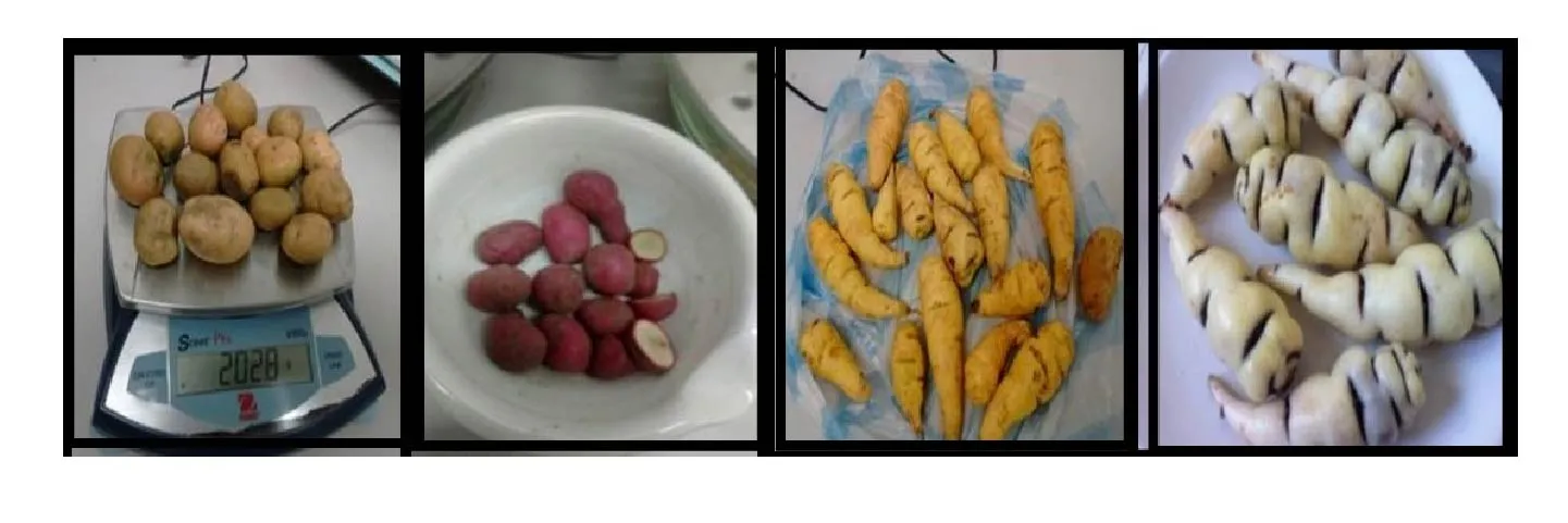 Universidad de La Salle logra nueva patente