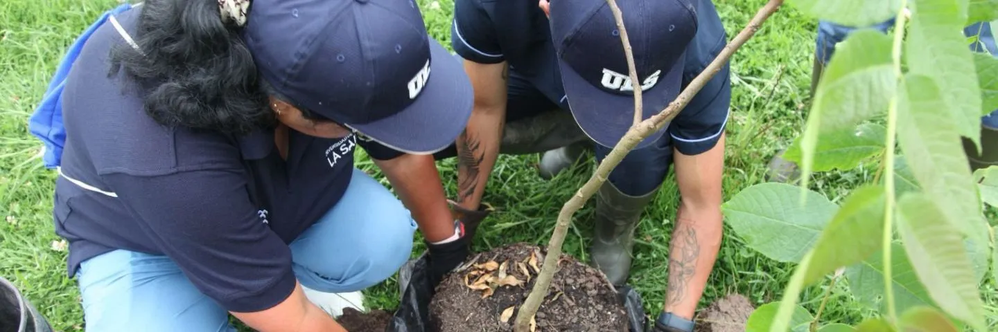 Unisalle siembra 250 árboles en la región de la Sabana