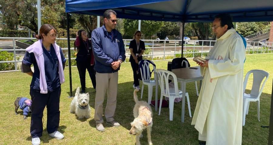 Imagen por defecto