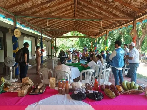 Nuestros aliados