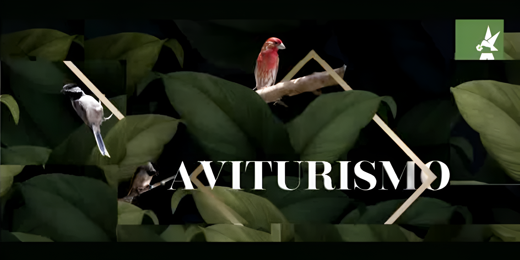 Aviturismo y conservación