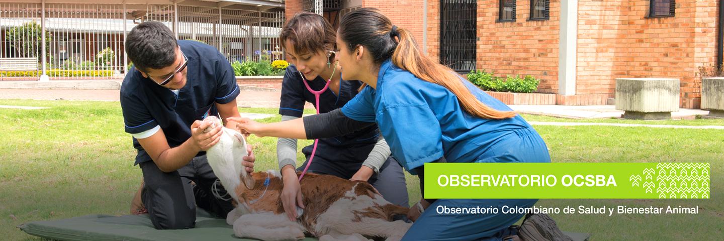 Observatorio Colombiano de Salud y Bienestar Animal (OCSBA)