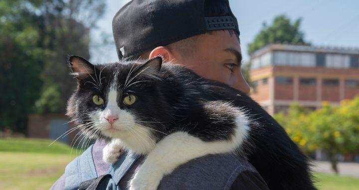 Jovén con un gato blanco y negro