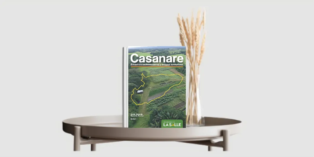 Casanare: estructura socioeconómica y lecturas territoriales