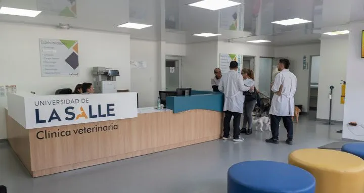 Recepción clínica veterinaría