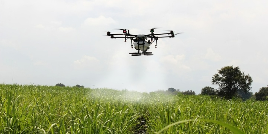 Comportamiento sector agropecuario 2022-2024