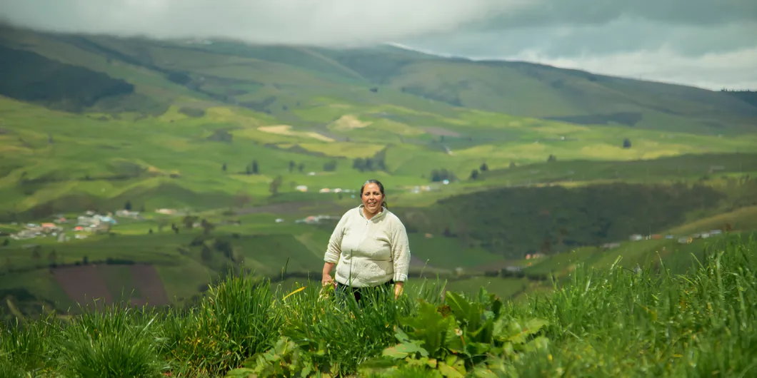La economía de cara al 2024. El meollo de las expectativas