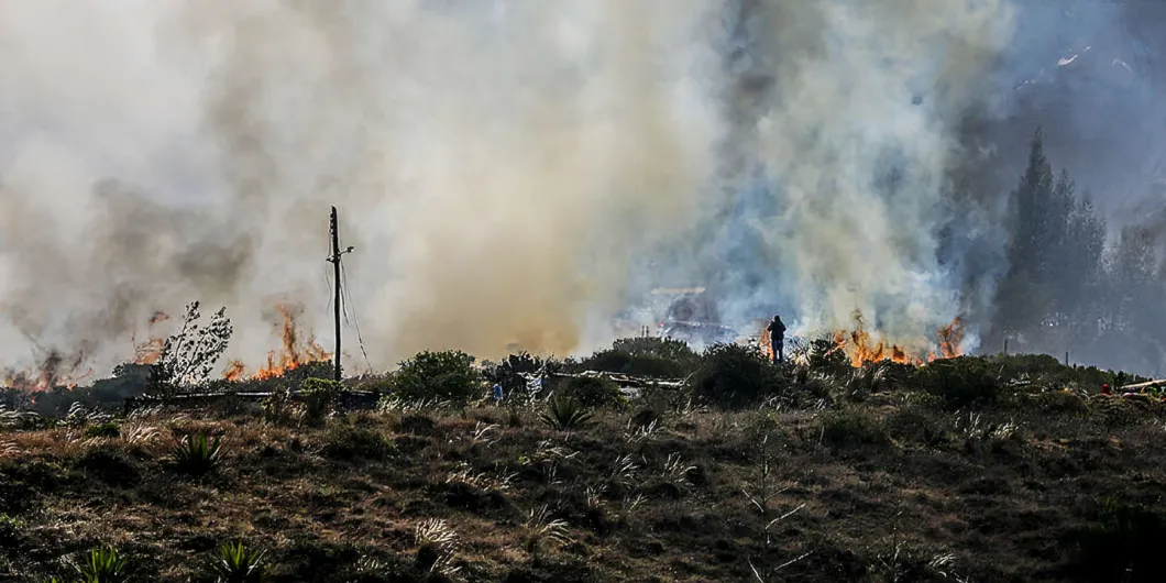 Incendios, campesinado y una nueva relación con la naturaleza
