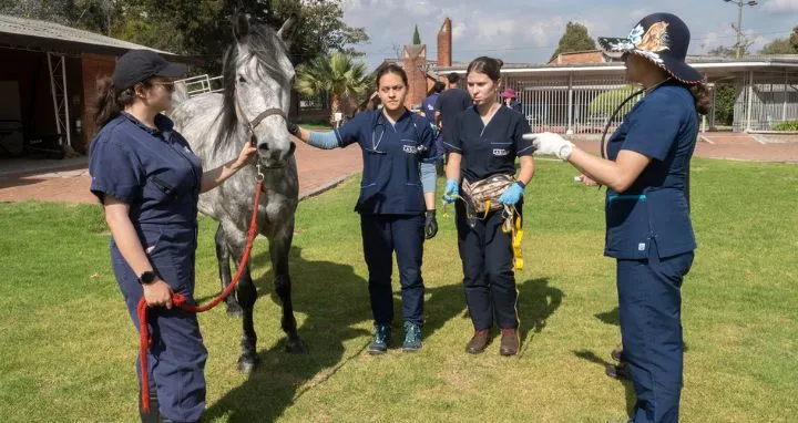 Grupo de estudiantes junto a un caballo
