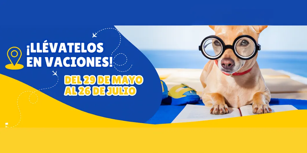 ¡Llévatelos en vacaciones!