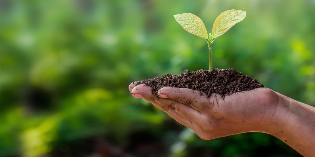 La importancia de recordar el día del medio ambiente