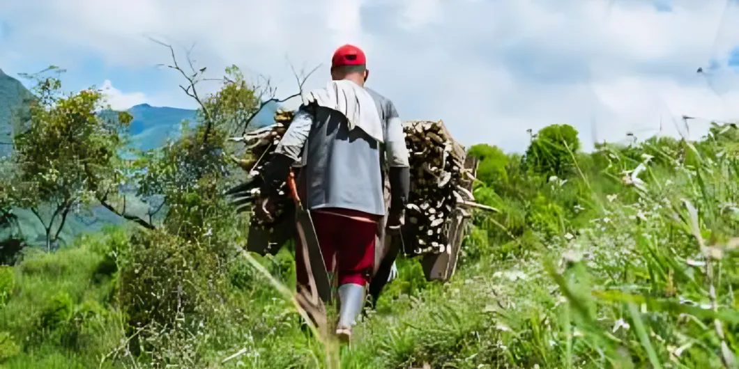 Modo de vida campesino y desarrollo rural
