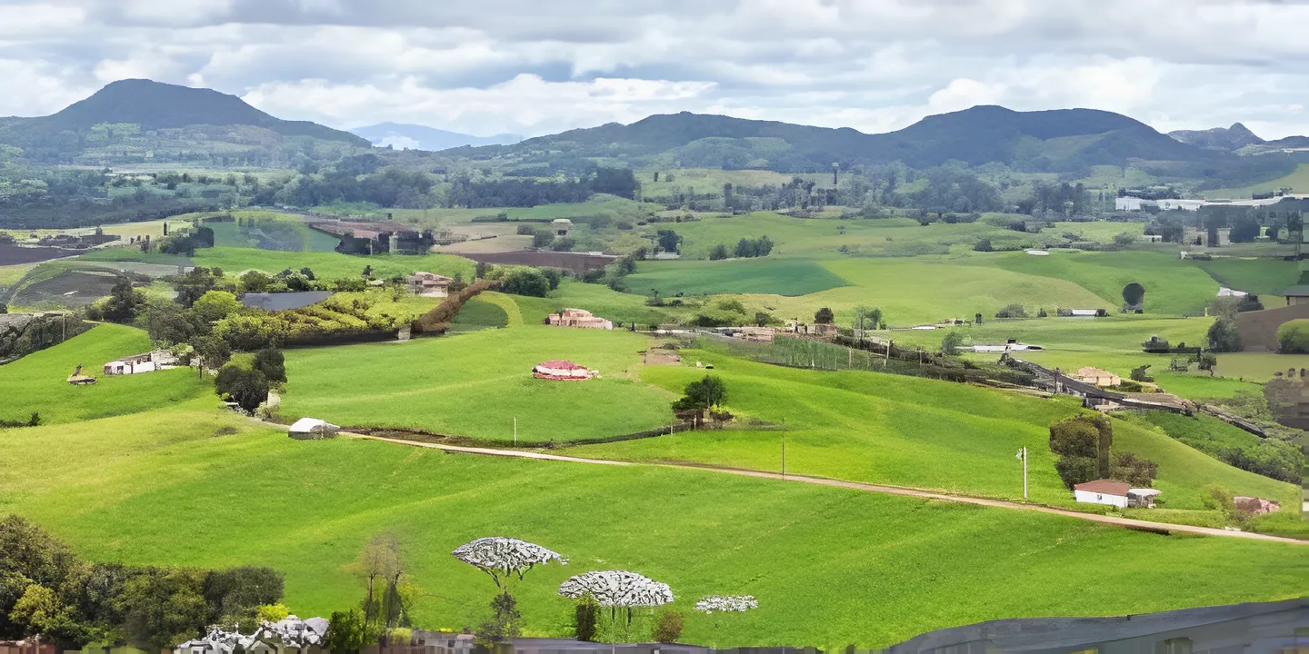 Reincorporación económica en el contexto rural