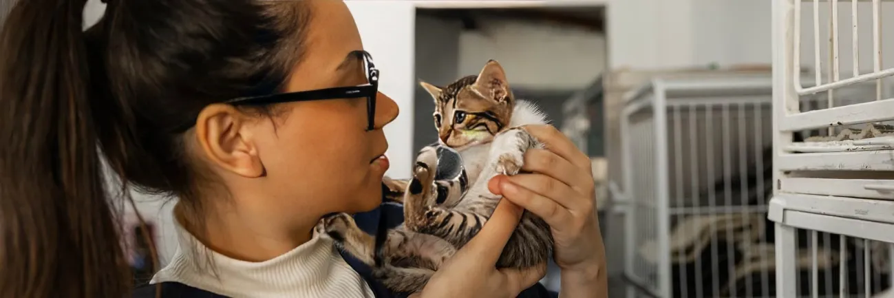 Un espacio en Biblioteca Unisalle dedicado al trabajo colaborativo
