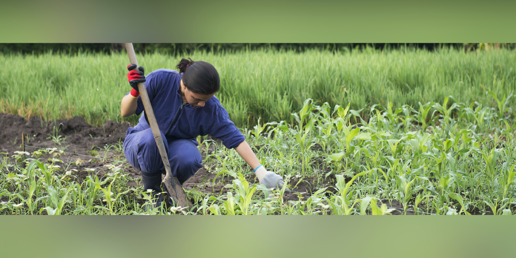 ¿El suelo colombiano tiene las condiciones para cultivar durante todo el año?