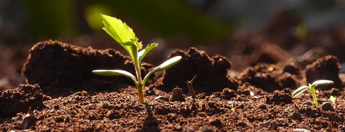 Termodesarrollo y economía campesina