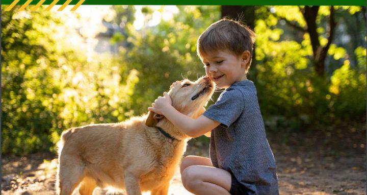 Niño abrazando un perro