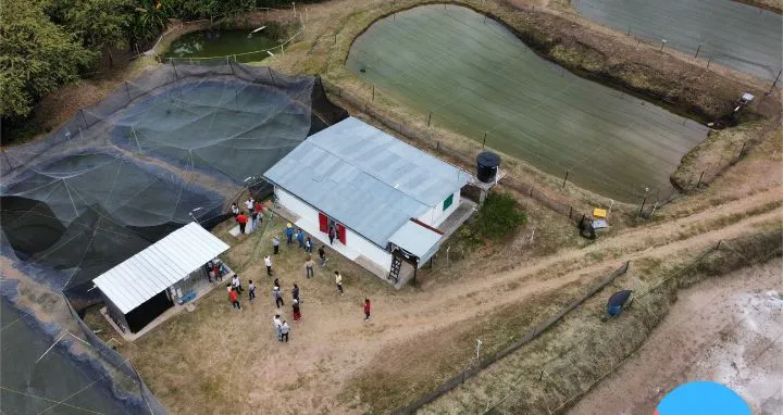 Vista aerea de un cultivo piscicola