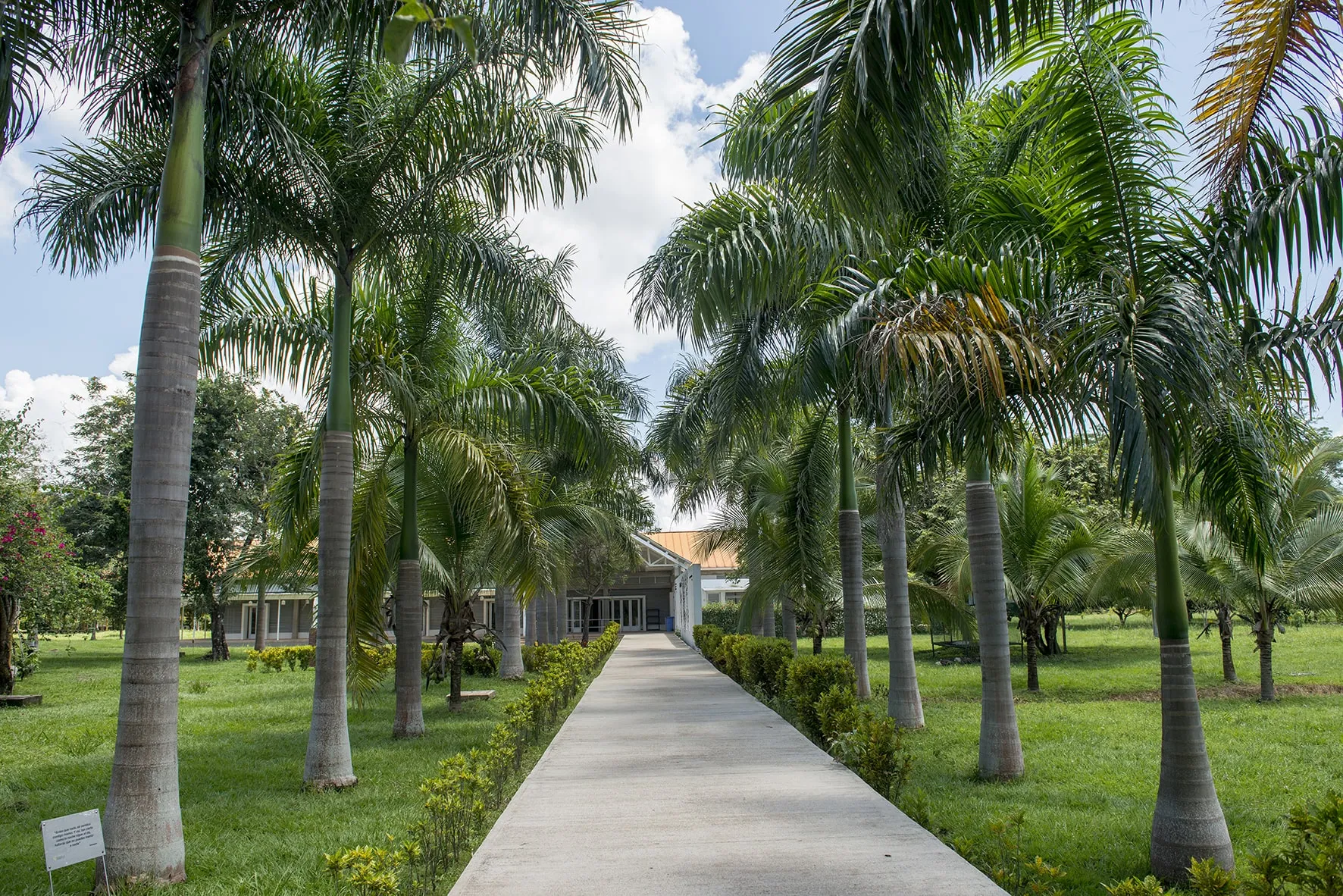 Campus yopal