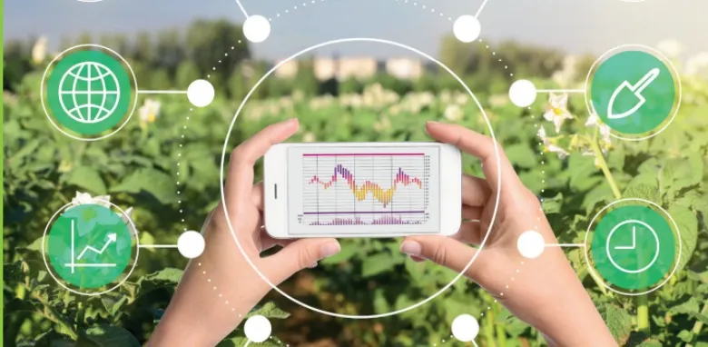 Un campo de cultivo con plantas verdes. Una persona sostiene un teléfono móvil...