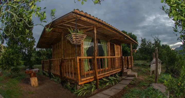 Una pequeña cabaña de madera con un porche, rodeada de vegetación exuberante....