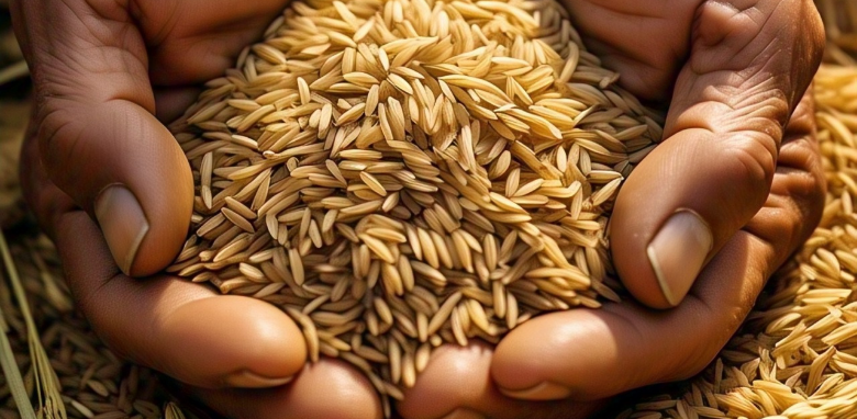 Dos manos con una puñada de arroz - Imagen creada con inteligencia artificial.