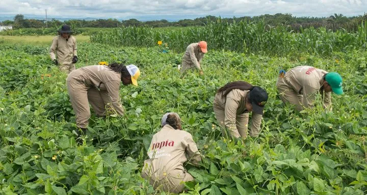 Estudiantes de la sede Utopía. 