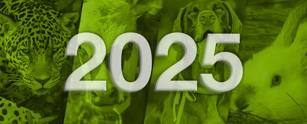 Diplomado en Comportamiento y Bienestar Animal Aplicado