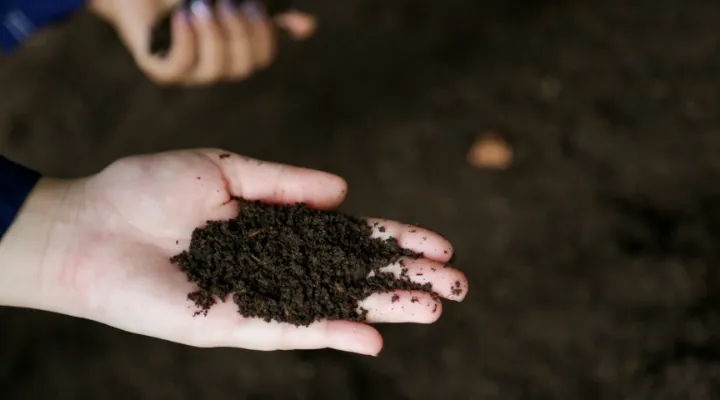 Elección de regiones