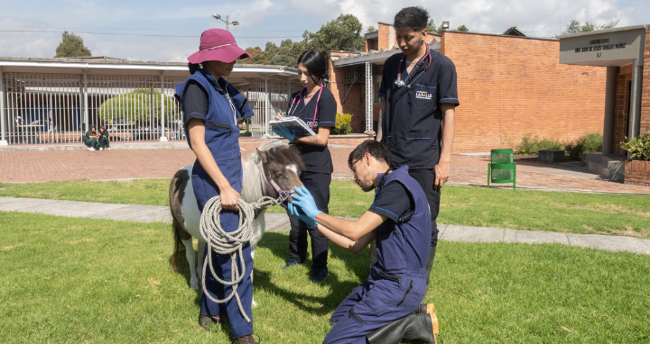 Medicina y sanidad animal