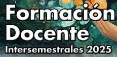 Formación Docente