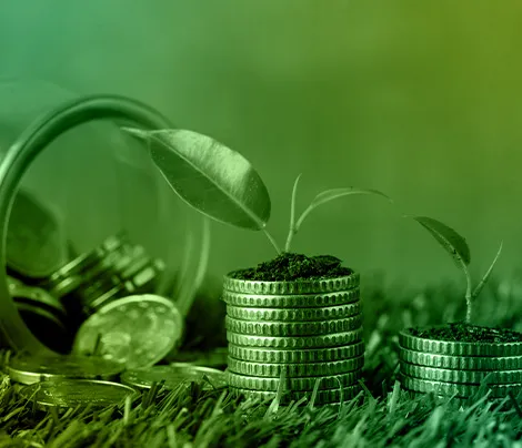 economía circular
